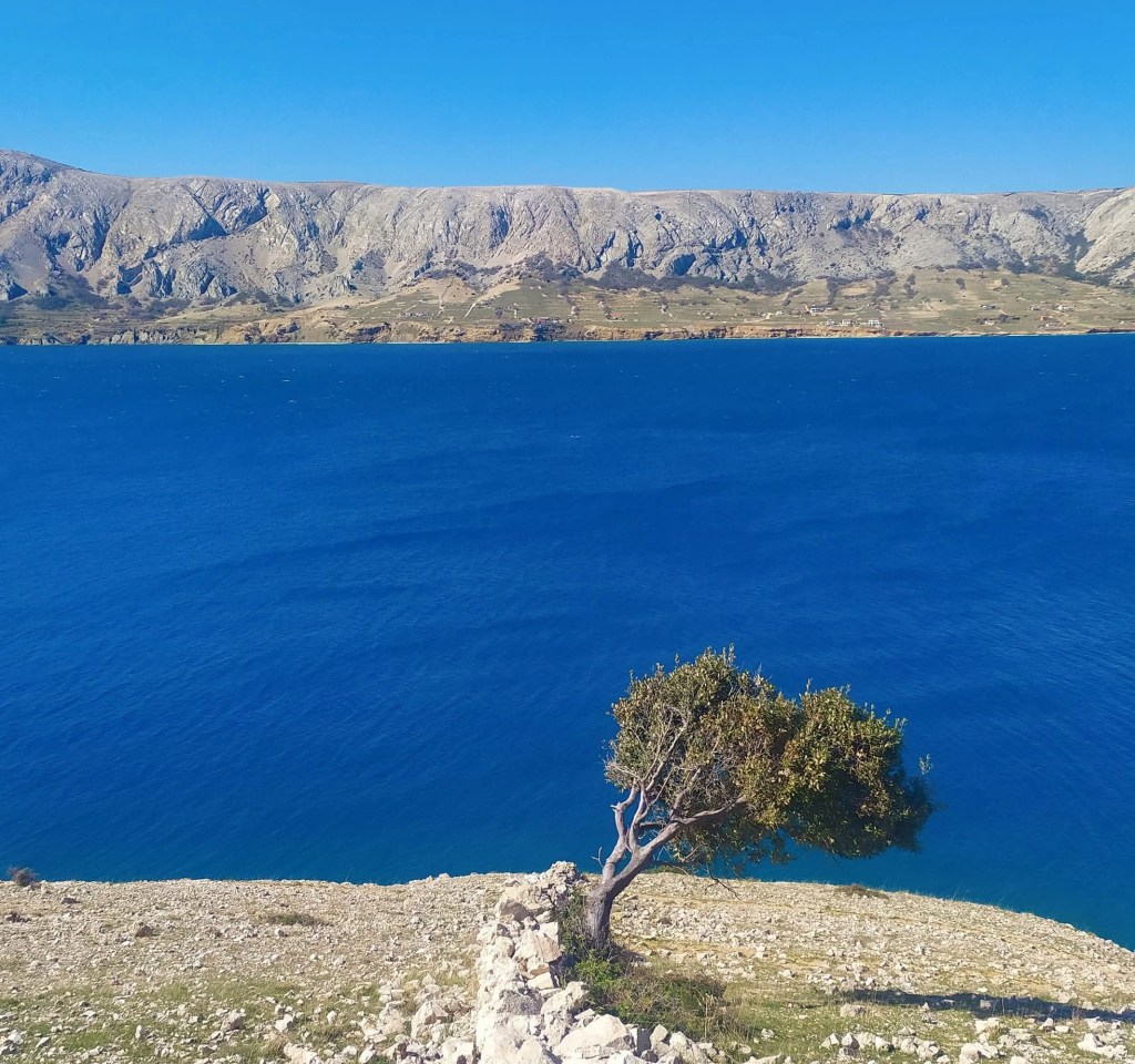 Life on Mars – Otok Pag: Kroz golet, kamen i tišinu