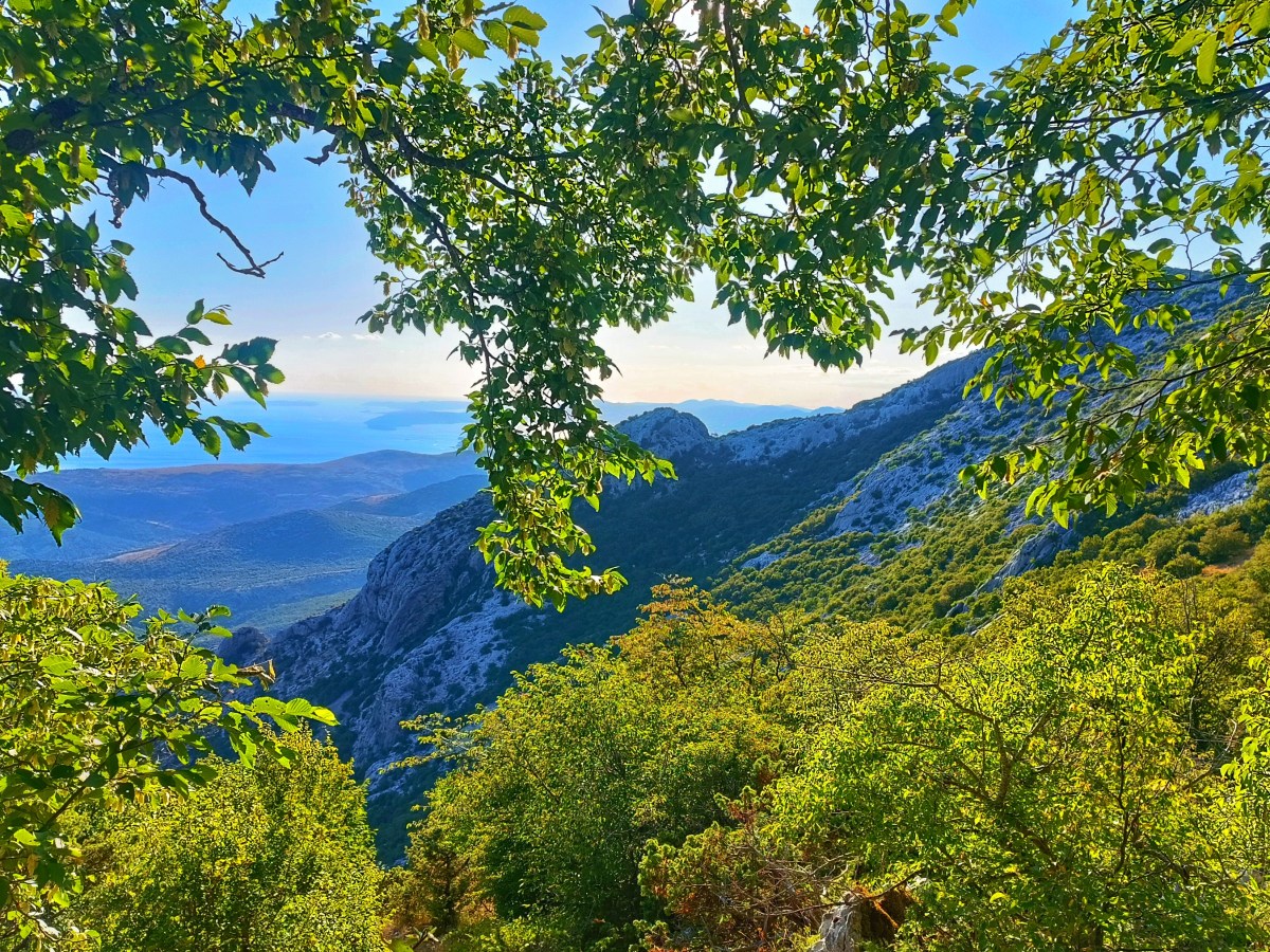 Vridilo je – Kozik,&nbsp;Mosor