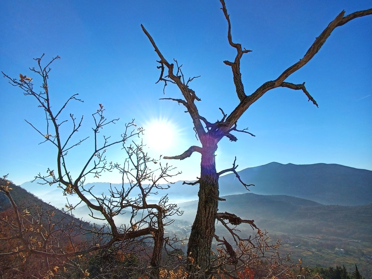 Izgubljeni u prijevodu