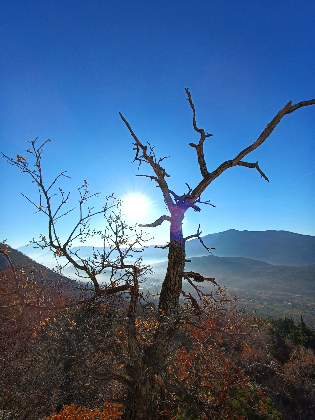 Izgubljeni u prijevodu