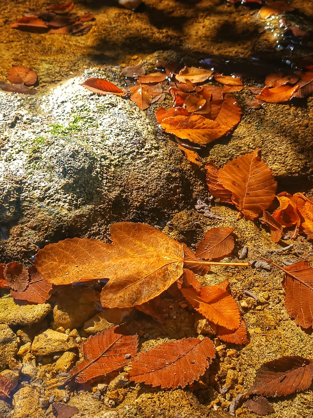 O jeseni, južini i ravnoteži