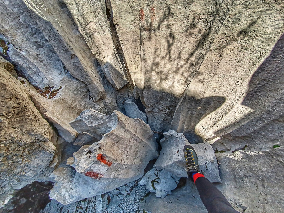 Bilješke iz života