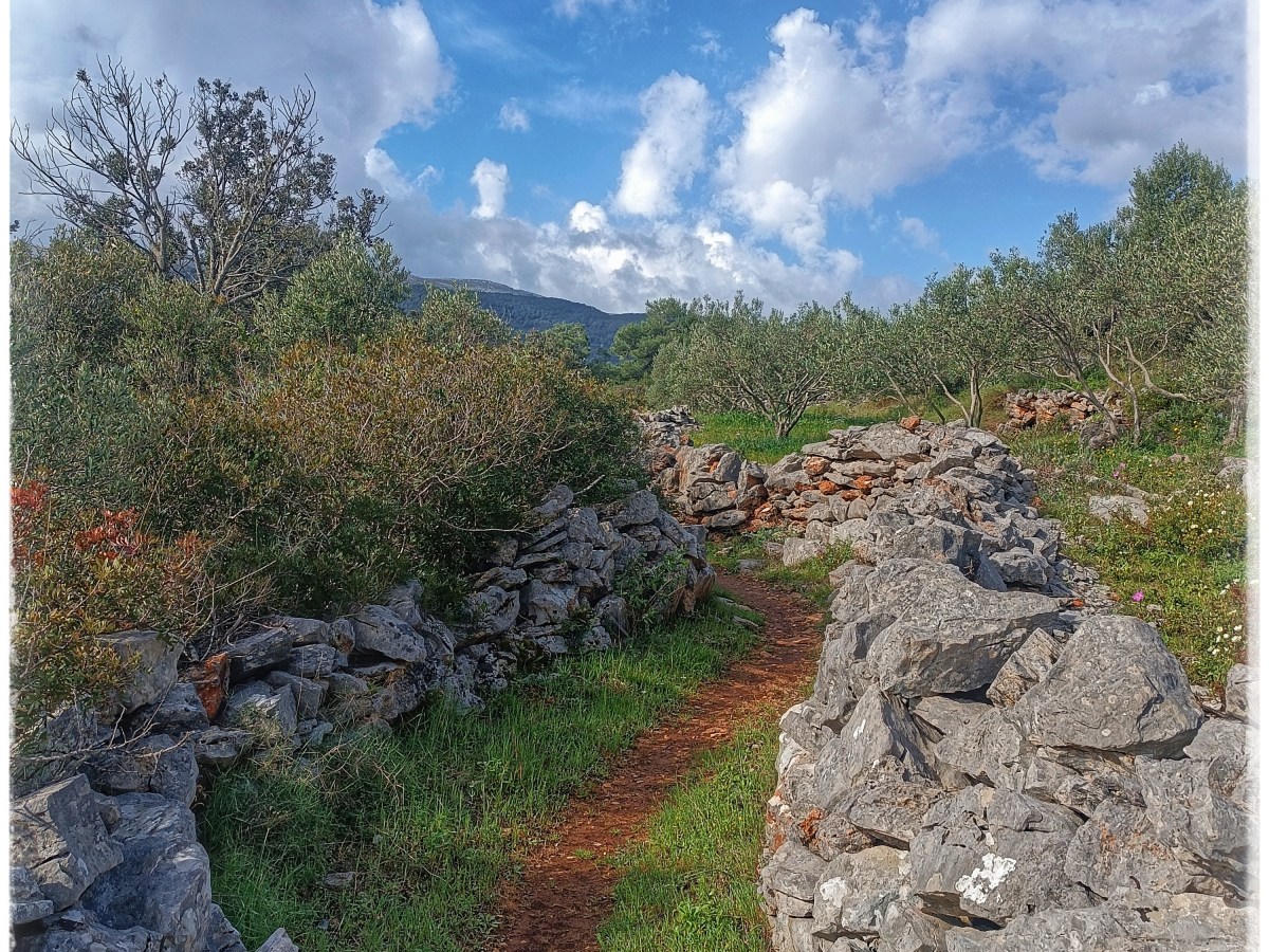 O putu, Hvaru i potrazi za&nbsp;smislom