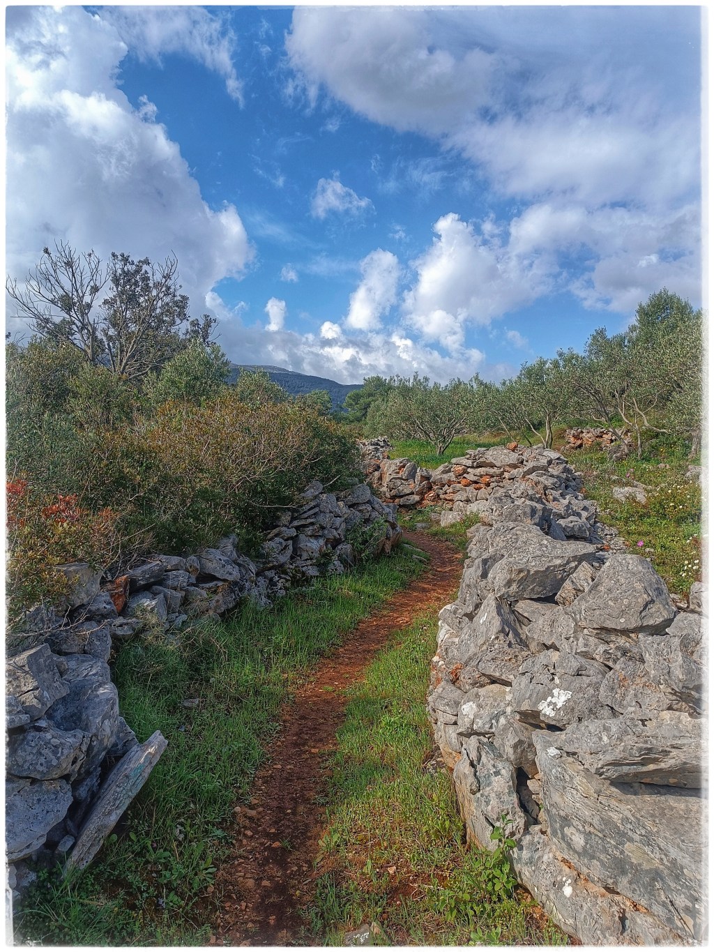 O putu, Hvaru i potrazi za&nbsp;smislom