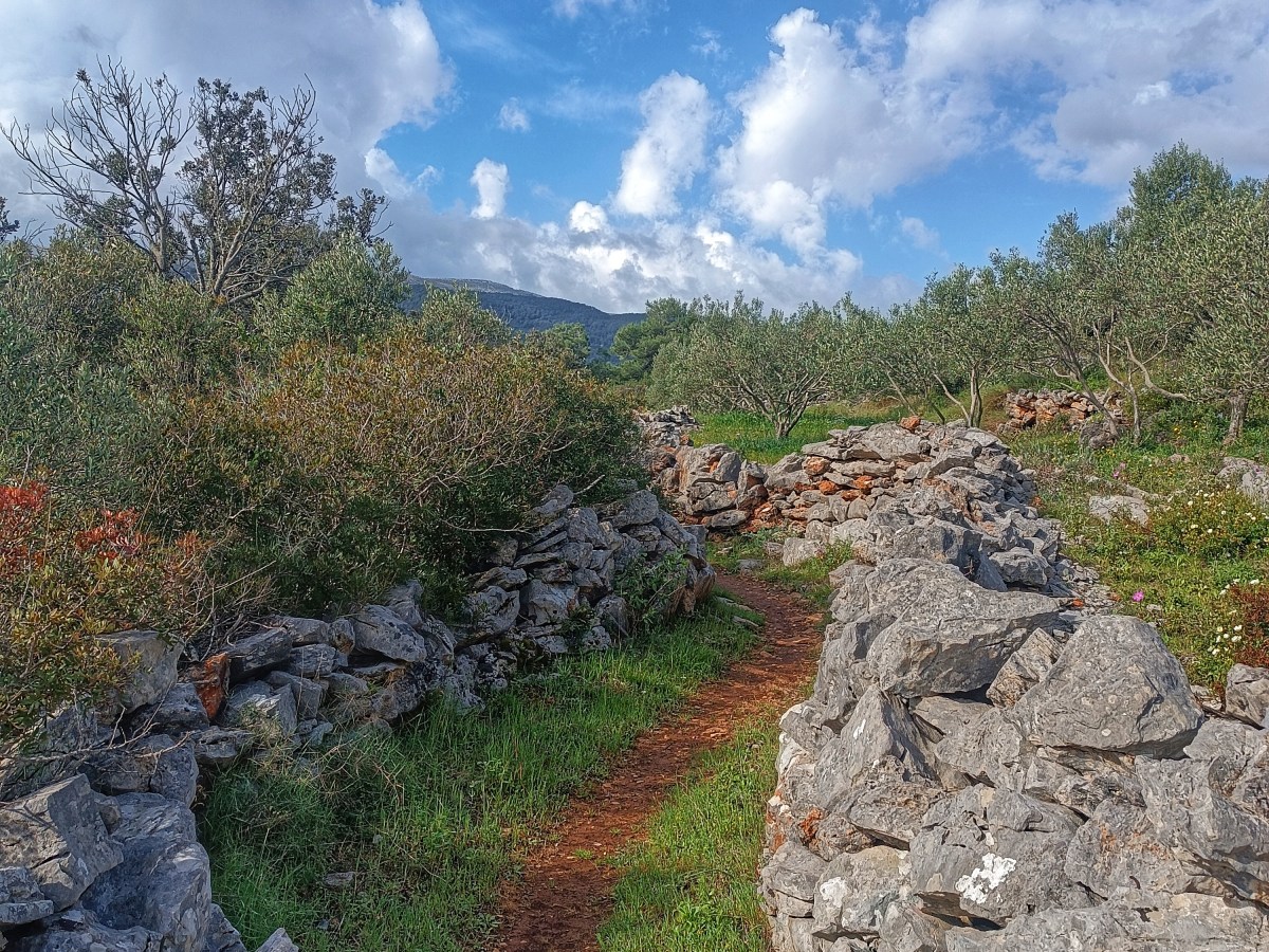 O putu, Hvaru i potrazi za&nbsp;smislom