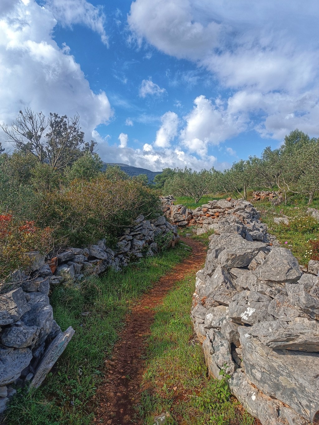 O putu, Hvaru i potrazi za&nbsp;smislom